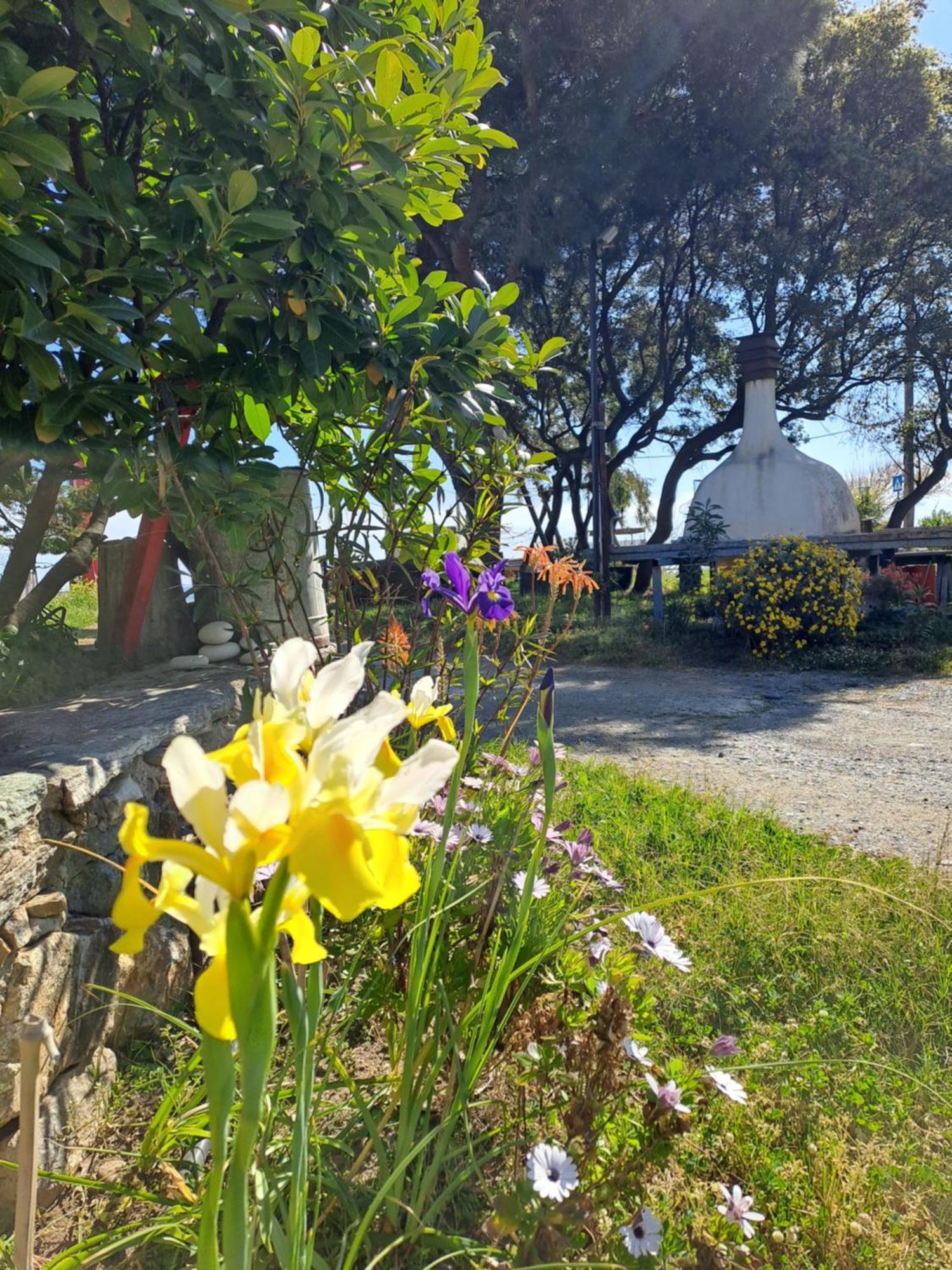 Spitaki γραφείο Apartment